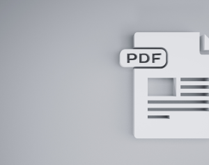 PDF Konvertierung